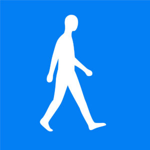 AIESEC-Human-Blue